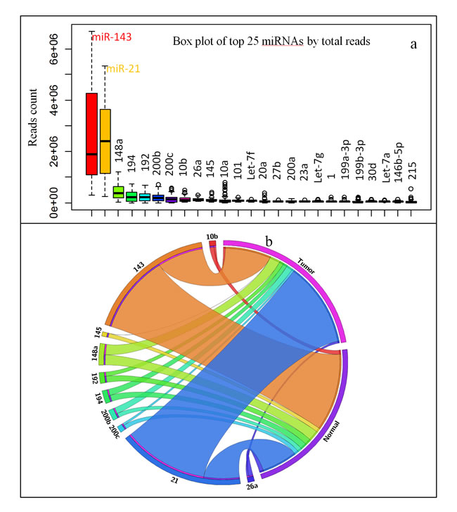 Highly expressed miRNAs in CR/CRC.