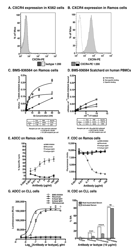 Scatchard analysis of Ulocuplumab (BMS-936564) binding to Ramos cells, human PBMCs and ADCC &amp; CDC activity in Ramos cell line (Burkitt&#x2019;s lymphoma).