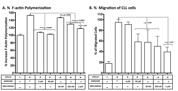 Inhibition of CXCL12-induced response and migration of primary CLL cells in a transwell assay by Ulocuplumab (BMS-936564) and AMD3100.