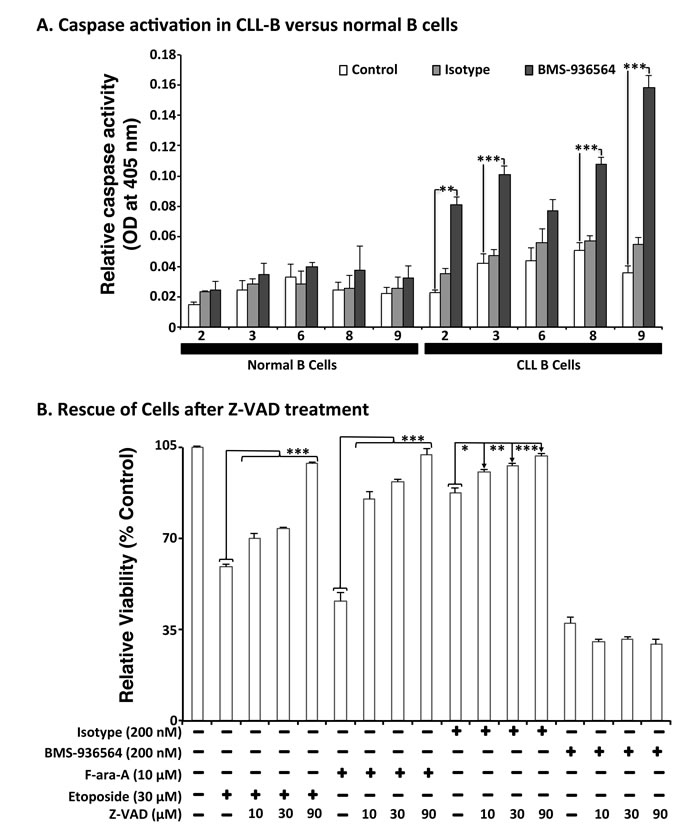 Effect of Ulocuplumab (BMS-936564)-mediated apoptosis in CLL cells is caspase-independent.