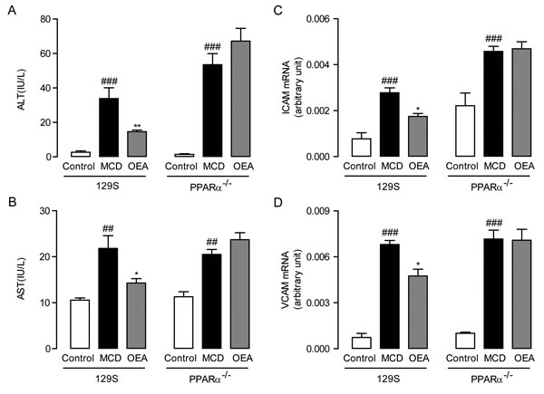 OEA alleviated liver injury and inflammation in MCD diet-induced fibrosis mice through PPAR-