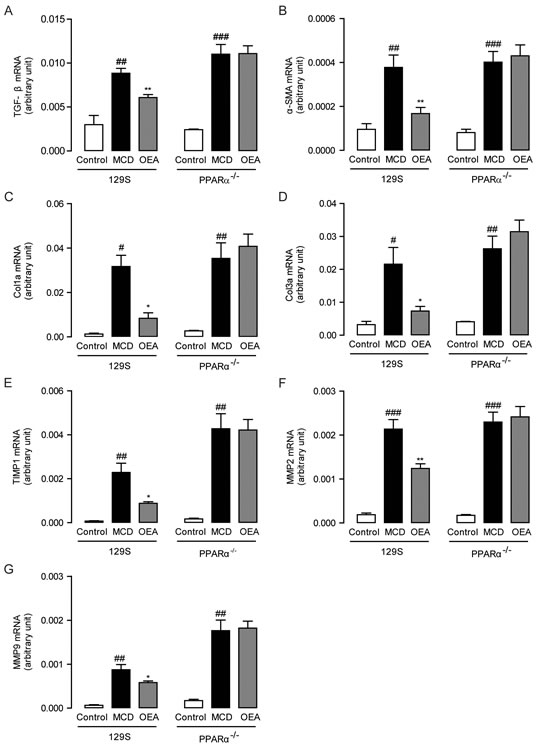 OEA modulated hepatic fibrotic genes expression in MCD diet-induced fibrosis mice by PPAR-&#x3b1;.