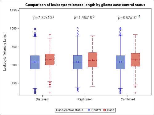 Boxplots comparing genotypically-estimated leukocyte telomere length in glioma patients and controls from discovery analyses (652 glioma patients, 3735 controls), replication analyses (478 glioma patients, 2559 controls), and combined analyses (1130 glioma patients, 6294 controls); glioma cases from the UCSF Adult Glioma Study (AGS) and TCGA, and controls from AGS, Illumina iControls and Wellcome-Trust.