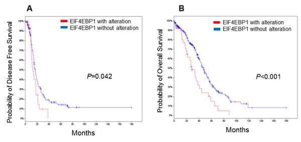 Kaplan-Meier plots for epithelial ovarian cancer patients stratified according to EIF4EBP1 expression.