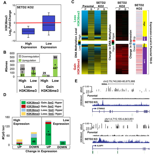 Redistribution of H3K36me3 with SETD2 inactivation is linked to changes in expression.
