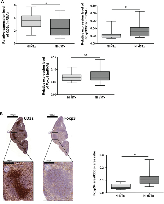 Evaluation of total T cells (CD3&#x03B5;+) and Tregs (Foxp3+) reserve in non-infected (NI) mice spleens.