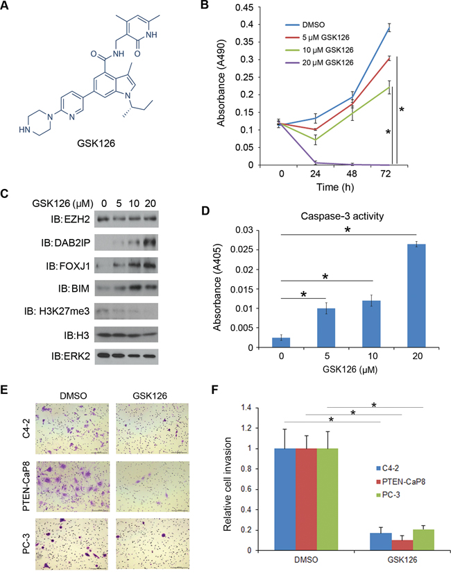 Inhibition of CRPC cell growth by the EZH2 small molecule inhibitor GSK126.