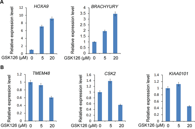 Effect of the EZH2 small molecule inhibitor GSK126 on expression of PcD and PcI genes in CRPC cells.