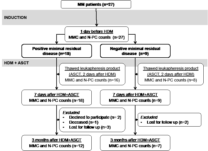 CONSORT diagram of patients with previously-untreated multiple myeloma in Montpellier University Hospital, showing number of patients, treatments delivered, and outcome.