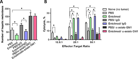 Entolimod antitumor activity of against UM metastases is NK cell-dependent.