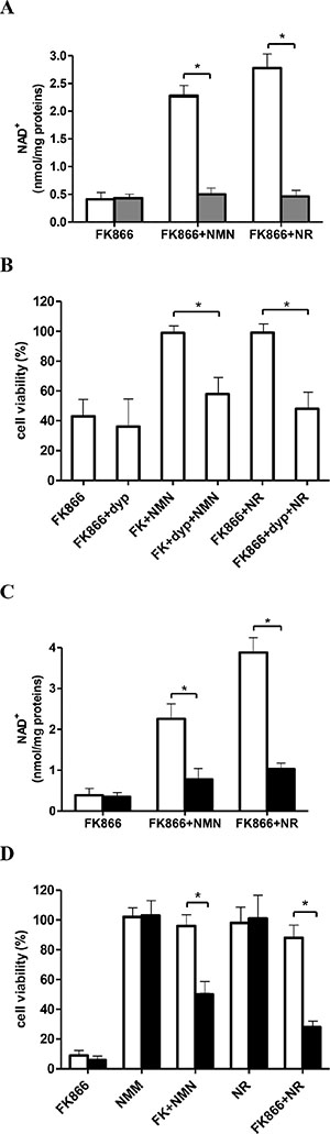 Inhibition of NR transport or silencing of NRK1 expression impairs the NMN-mediated rescue from FK866-induced NAD+ depletion and cell death.