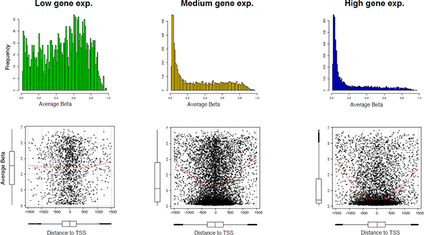 Association between DNA methylation and gene expression.