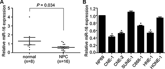 miR-16 is decreased in NPC tissues and cell lines.