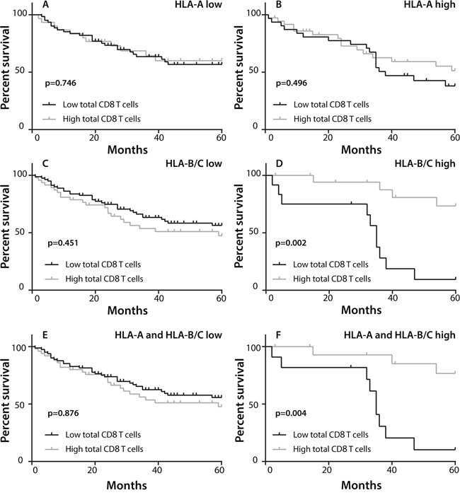 Figure 3. Effect of classical HLA class I expression and CD8+ T cell infiltration on overall survival (OS).