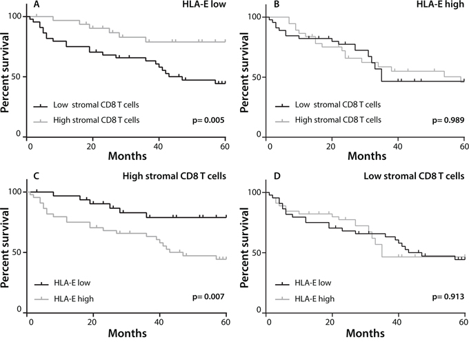 Prognostic benefit in HLA-E negative tumors with high CD8+ T cell infiltration.