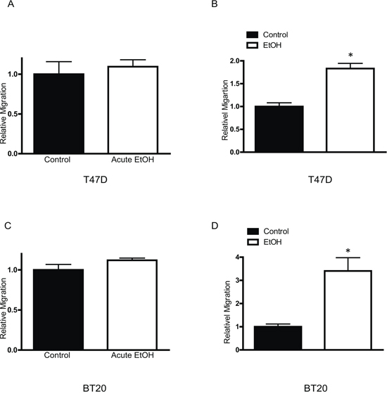 Effects of chronic ethanol exposure on T47D and BT20 cells.