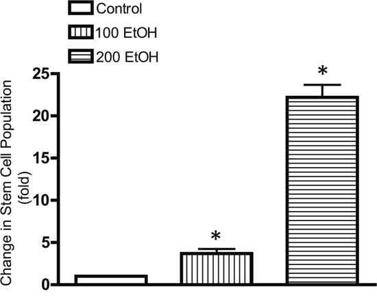 Effects of chronic ethanol exposure on stem-like cell population.