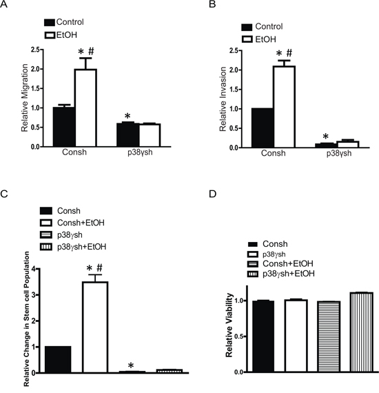 Effects of p38&#x03B3; knock-down on ethanol-induced migration/invasion and cancer stem-like cell population.