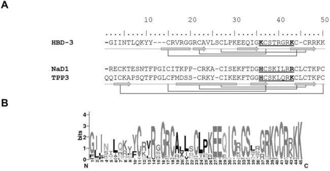 Structural conservation of HBD-3, NaD1 and TPP3.