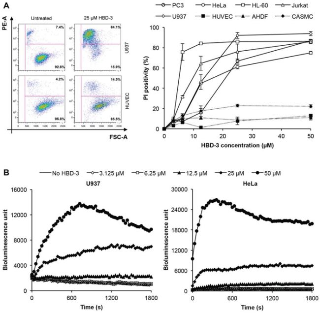 Tumour cell-selective membrane permeabilisation by HBD-3.