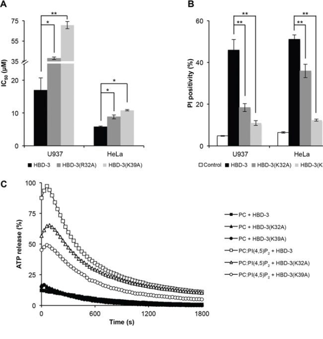 Impaired tumour cell killing and membrane permeabilisation by HBD-3 mutants.