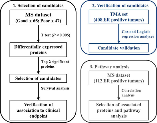 Schematic representation of analysis workflow.