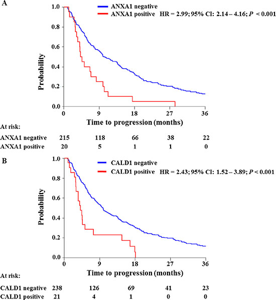 Survival analyses of ANXA1 and CALD1 association to TTP.