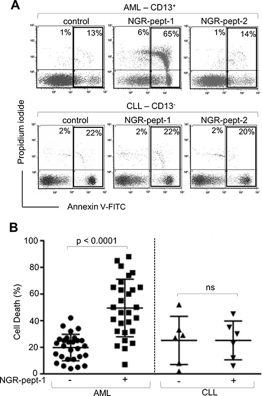 NGR-peptide-1 induces death in primary AML cells.