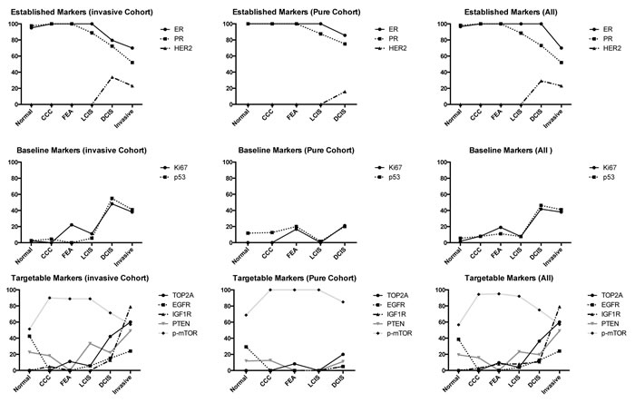 Trends of expression of biomarkers within different lesion subtypes.