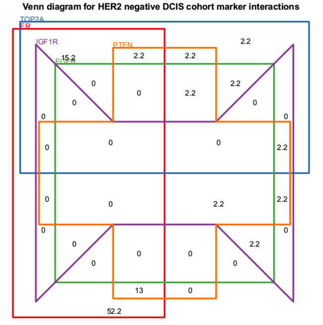 Venn diagram displaying the biomarker expression overlaps for HER2 negative DCIS cases.