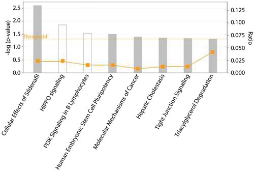 Pathways identified by IPA that are enriched in the list of genes whose methylation levels are affected by RRx-001.