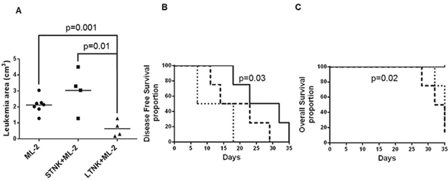 Long-term cultured NK cells inhibit subcutaneous ML-2 cell growth in CB17 scid mice