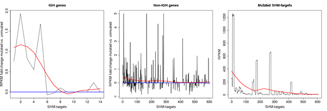 Transcription rate in SHM genes.