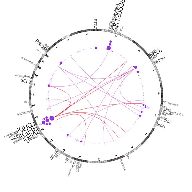 Correlation between mutations and rearrangements.