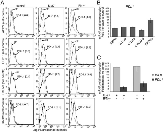 IL-27 increases PD-L1 surface protein and mRNA expression in EOC cells