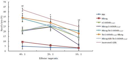 The CTL response of splenic lymphocytes against