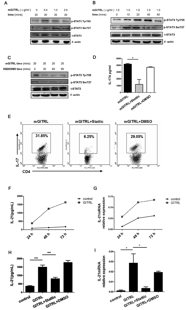 GITRL protein promotes the phosphorylation of STAT3 on Tyr705 and Ser727