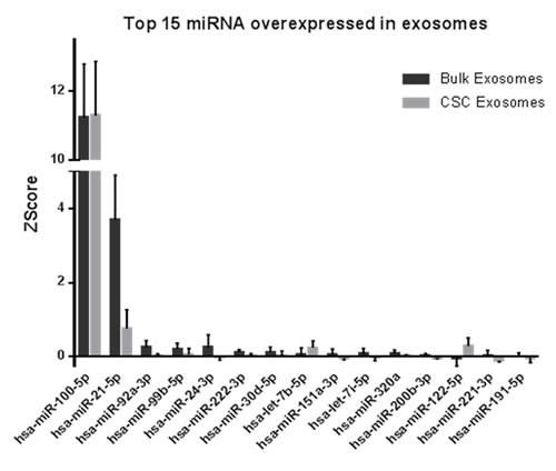 miRNAs abundance in exosomes from bulk and CSCs from PCa.