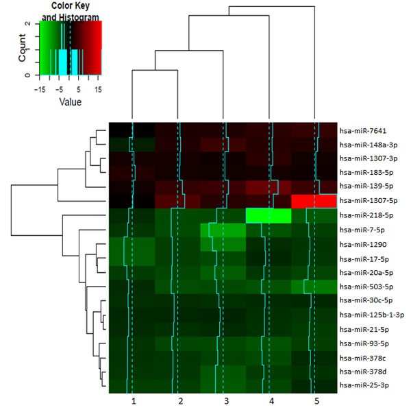 Heatmap of the 19 miRNAs differentially expressed in exosomes from CSCs respect to bulk cells.