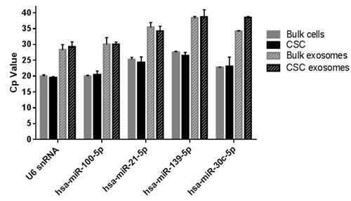 RT-qPCR on selected miRNAs in bulk and CSCs cells and exosomes.