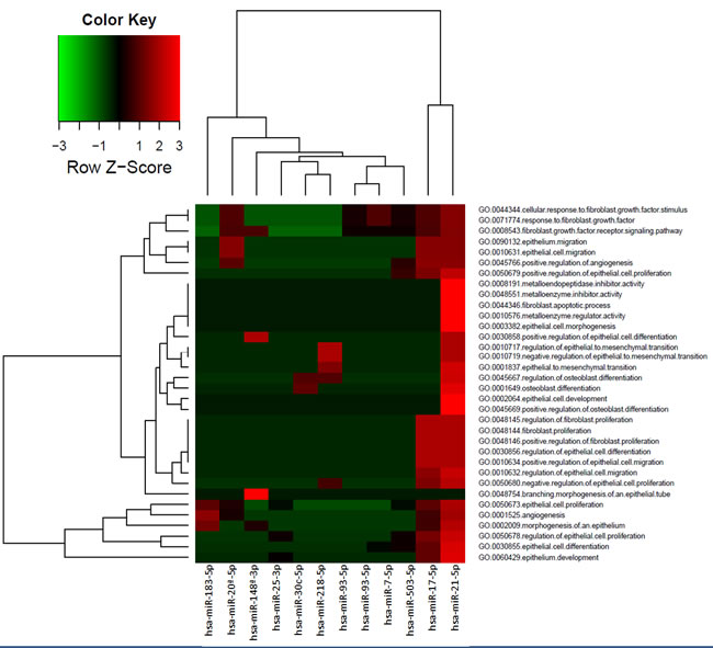 Biological process (GOBP) related with miRNAs differentially expressed in exosomes.