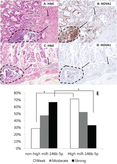 Figure 9. NOVA1 expression in the proximal resection margin tissues.