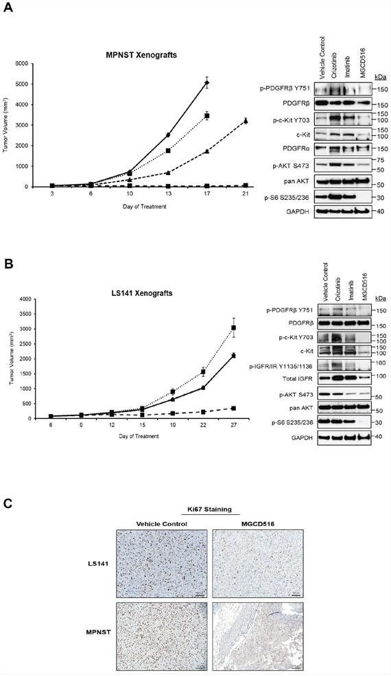MGCD516 treatment induces significant suppression of tumor growth and better inhibition of downstream targets than imatinib and crizotinib in vivo.