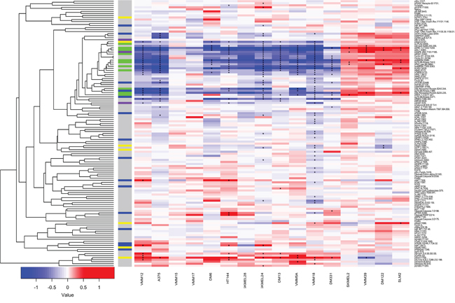 Reverse Phase Protein Arrays show diverse responses to PLX4720 in a panel of 16 melanoma cell lines.