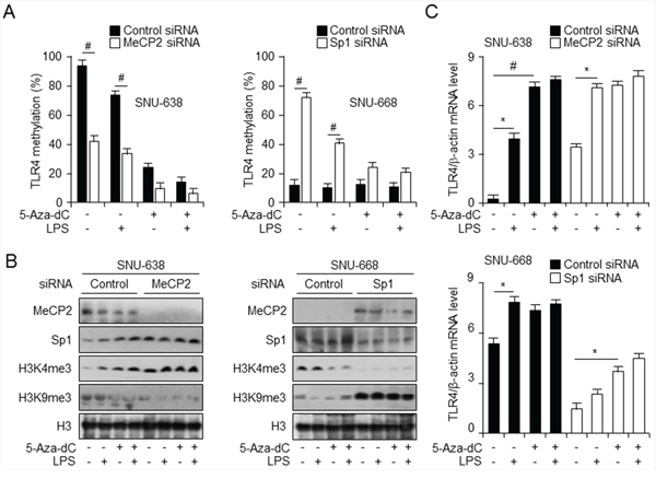 Knockdown of Sp1 and MeCP2 regulate TLR4 expression through modification of DNA and histone methylation