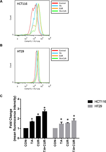 Effect of TA and Cur treatment on the generation of ROS in CRC cells.