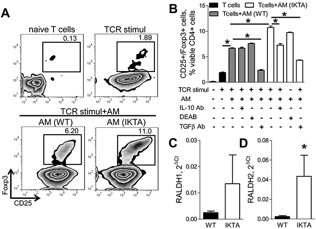 Alveolar macrophages induce generation of Foxp3&#x002B; Tregs through production of TGF&#x03B2;, IL-10, and retinoic acids during chronic airway inflammation.