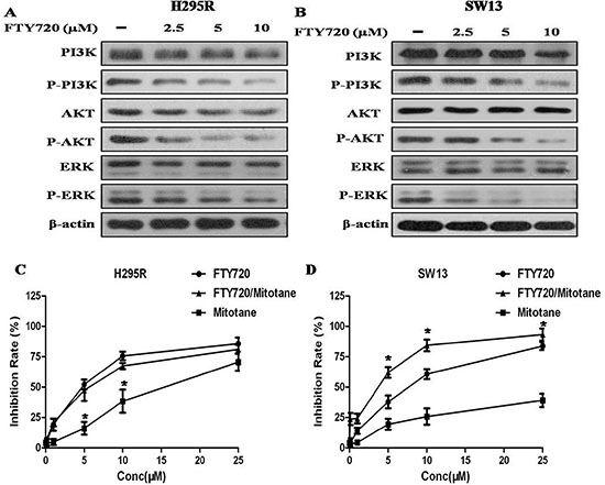 Effect of FTY720 on the activities of major signaling pathways, and effect of FTY720/mitotane combination on the proliferation of ACC cells.