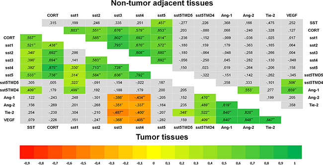 Heat-Maps for correlations between the expression of SST and angiogenesis systems (Spearman&#x2019;s Rho).