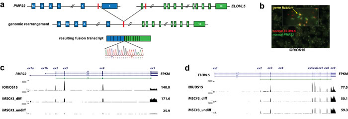 Figure 3: